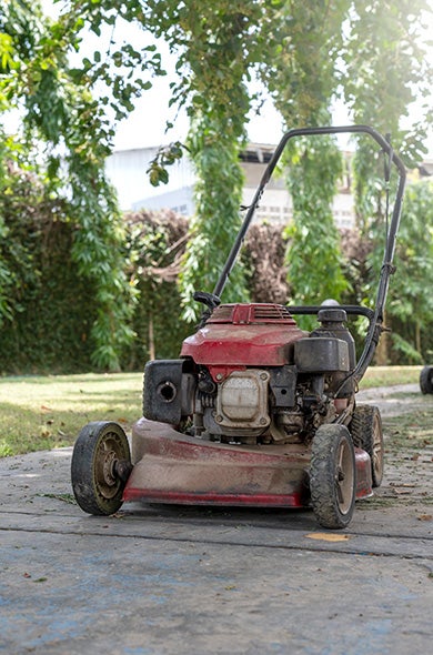 A lawn mower in a garden