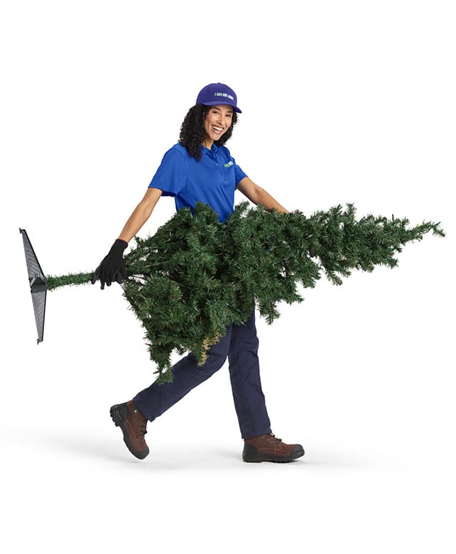 A 1800-GOT-JUNK? Truck Team Member hauling away a Christmas Tree